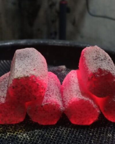 WhatsApp Image 2026-03-09 at 15.59.09 (2)