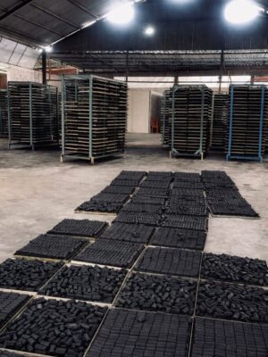 galeri terbaru ahsan charcoal (12)